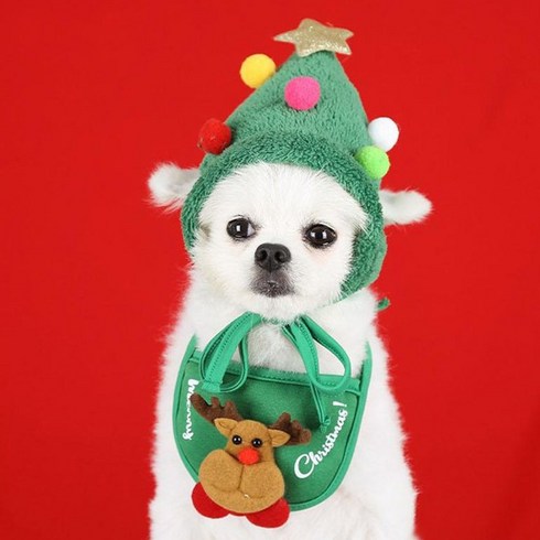크리스마스 강아지 고양이 모자+턱받이 세트 스카프 반려견 루돌프 산타 코스튬, A. 트리모자+루돌프턱받이 세트, L(5-9kg)