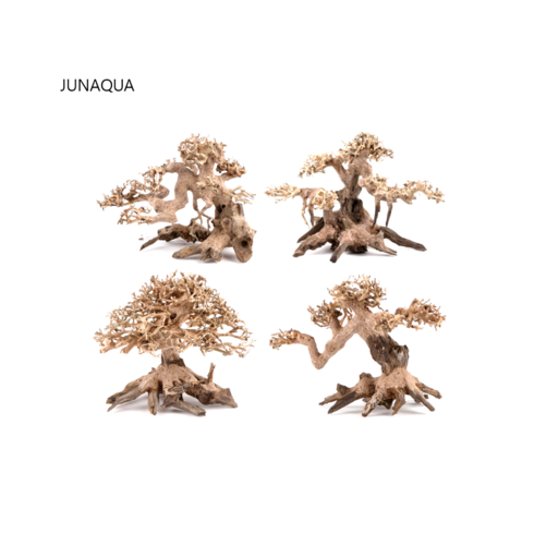 프리미엄모스 - 모스트리 나무유목 모스나무 새우 안시 구피 열대어 은신처 어항꾸미기, 1. Basic Mini