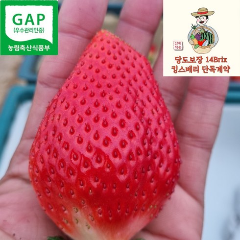 2024년 가성비 최고 코스트코딸기 - 23년 GAP인증 논산 킹스베리 킹스베리딸기 제철과일, 1개, [대왕특12-16과