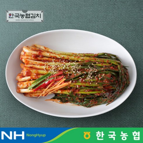 순천원데이클래스 - [한국농협김치] 전라도 순천 남도 파김치 1kg, 1개