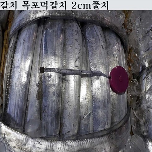 목포갈치 손질 먹갈치 10마리 1kg 국내산 수산물, 1개, 목포먹갈치(풀치)20마리