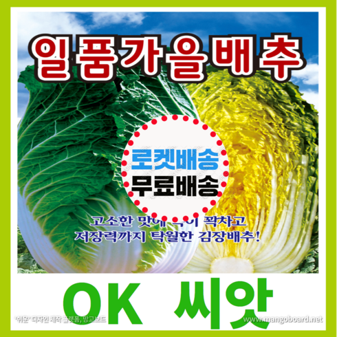 배추씨앗 - [OK씨앗] [일품가을배추] 김장배추씨앗(오케이씨앗), 1개