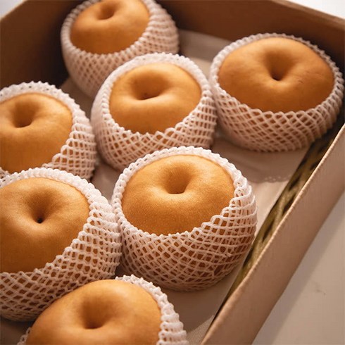 우체국쇼핑 과일꾼 김재명 농부의 첫수확 햇 나주배3kg(가정용) 4-8과, 1개