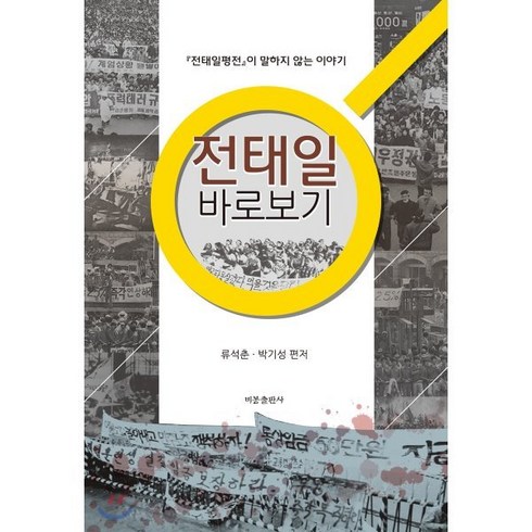 전태일 바로보기:전태일 평전이 말하지 않는 이야기, 비봉출판사, 류석춘,박기성 편저