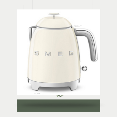 smeg TOP01