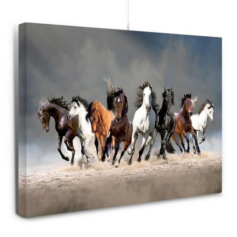 셀러허브 백마도 팔마도 칠마도 말 그림 액자 캔버스 80호, 1번/80호 145x97cm(캔버스액자 옆면검정)