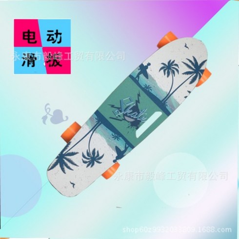 전동스케이트보드 전기보드 휴대용 입문용 기본형, 서핑