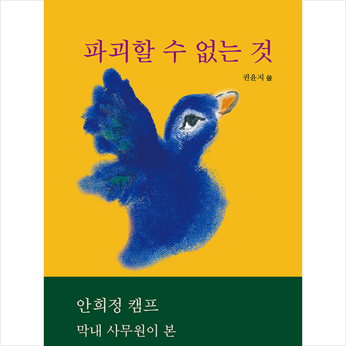 파괴할 수 없는 것 + 미니수첩 증정, 오프로드, 권윤지