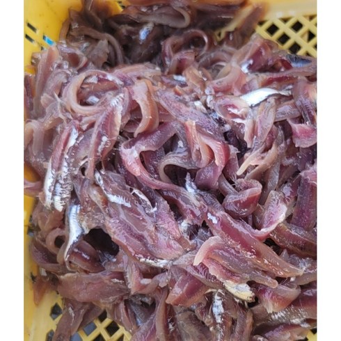 수협36번중매인 국내산 생물 손질된 생멸치횟감용 1kg 판매, 생멸치횟감1kg, 1개