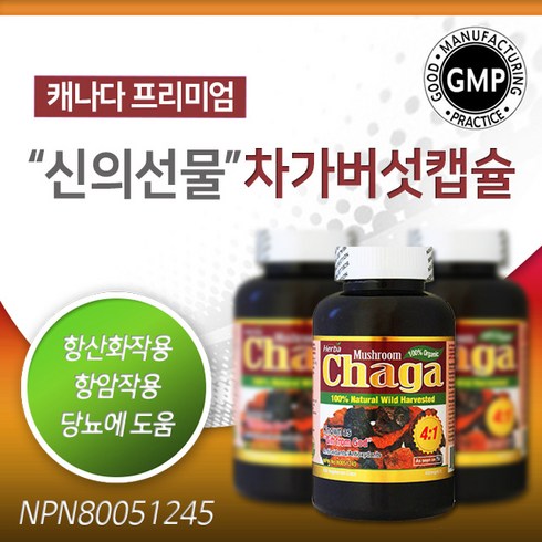 허바 차가버섯 캡슐 120정 (HERBA - CHAGA), 120개