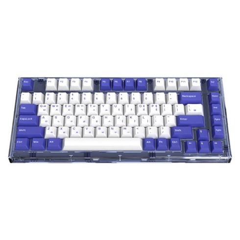 앱코 가스켓 마운트 RGB 교체축 기계식 게이밍 미니 키보드 리니어, 텐키리스, 퍼플블루, AG75