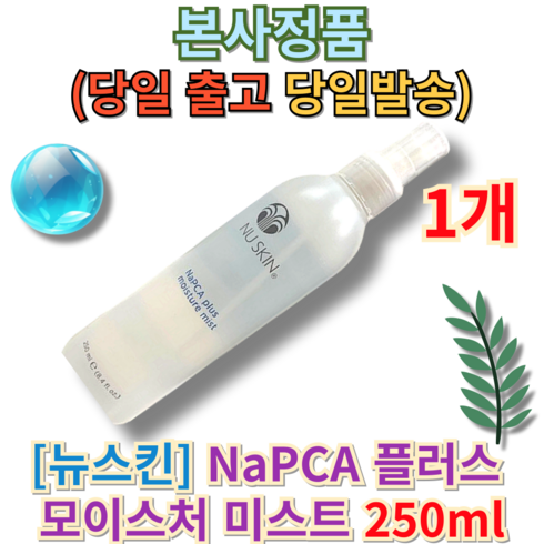 뉴스킨 NaPCA 모이스처 미스트, 250ml, 1개, 250ml