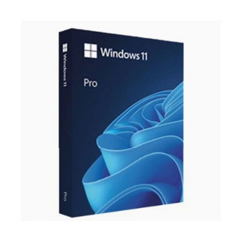 {추가}Microsoft Windows 11 Pro (처음사용자용 한글)