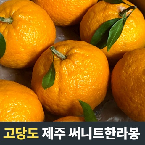 [산지직송] 품질엄선 고당도 제주 써니트한라봉 3kg 5kg 제주감귤 제주신품종 달콤한 만감 감귤 과일 과즙가득 제주써니트 윈터프린스 고당도감귤 한라봉 귤10kg 천혜향가정용, 1개, 5kg(특/13-16수)