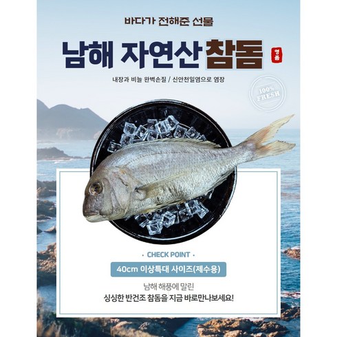 국내산 손질 참돔 13미 - 바다의여왕 자연산 반건조 참돔 특대사이즈(40cm이상)로 만나보세요~, 1개