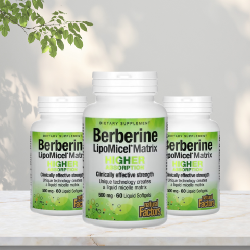 내츄럴팩터 리포미셀 베르베린 Berberine LipoMicel Matrix, 3개, 60정