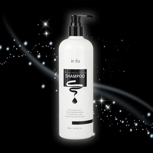 [잇퓨] 블랙업 샴푸 새치 흰머리 갈변 염색샴푸 새치커버, 2개, 480ml