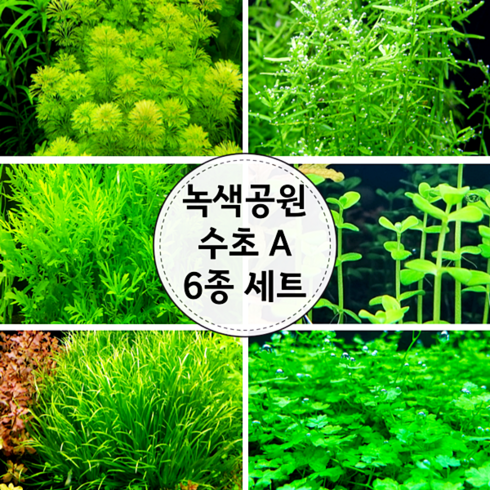 (수초) 녹색공원A 6종세트, 단품
