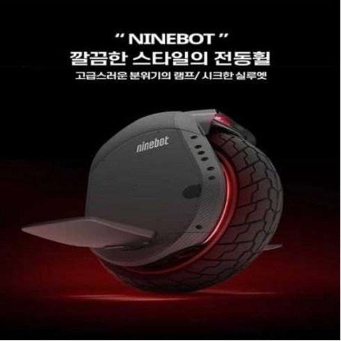 나인봇 Z6 ninebot 외발휠 전동휠