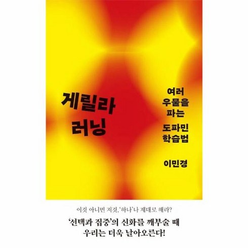 게릴라러닝 - 게릴라 러닝 - 여러 우물을 파는 도파민 학습법, 마름모