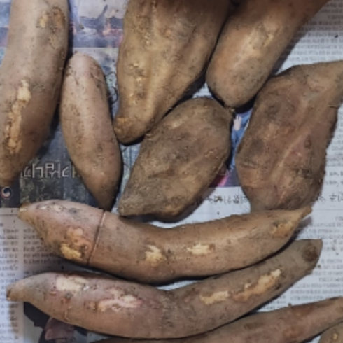 모라도야콘 레드야콘 땅속과일 국산과일 토종 고구마야콘 갈라짐있는 상, 1개, 3kg
