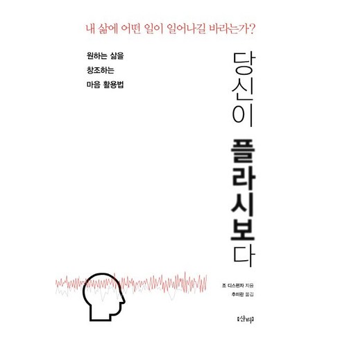 당신이 플라시보다, 샨티