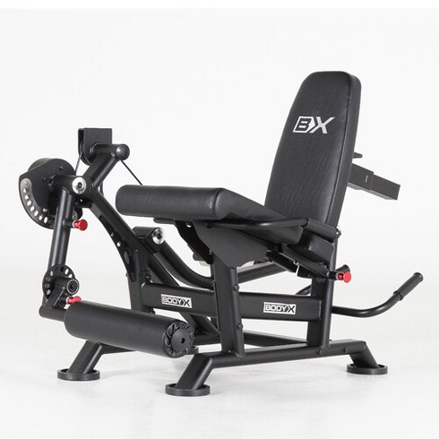 스포츠_ 바디엑스 신투 듀얼 레그컬 레그익스텐션 머신 DL6.3, 선택완료, 단품없음