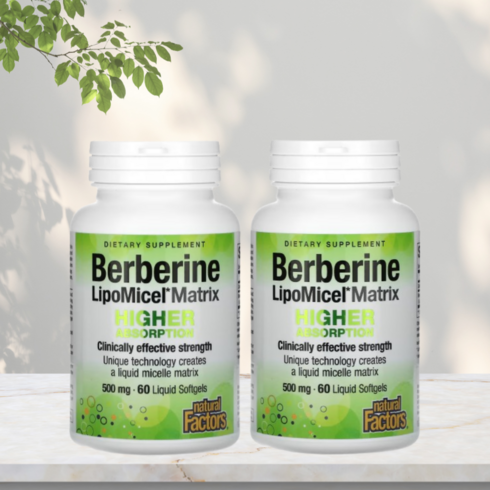 내츄럴팩터 리포미셀 베르베린 Berberine LipoMicel Matrix, 2개, 60정