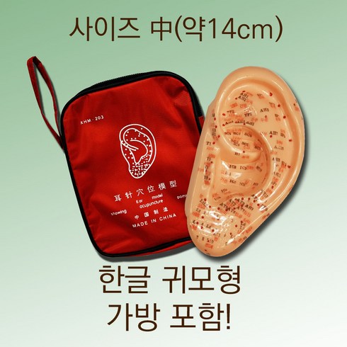 귀공자블루레이 - 한글 귀모형 사이즈 중 14cm 이혈도 이침요법 한자