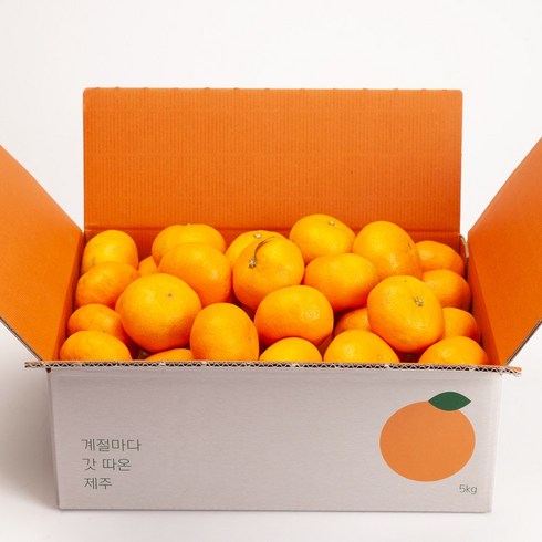 깨비농원 조생 감귤 4.5kg, 1박스, 4.5kg 중과(L-2L)