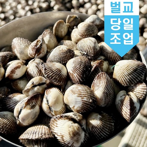 벌교 꼬막 새꼬막 10kg 당일조업 어민살리기 프로젝트 산지직송 소 중 대, 새꼬막(소)_10kg, 1개