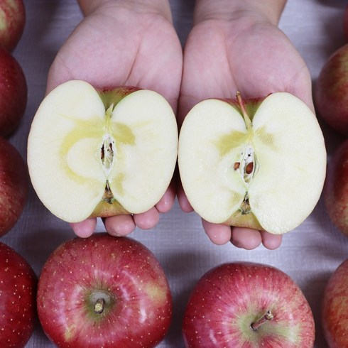 사과 부사 청송 사과 햇 부사사과 1박스, 청송부사 일반 5kg  16-18과, 1개