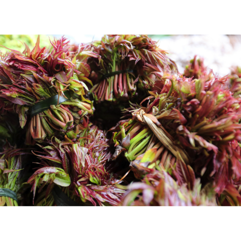 [봄의여왕] 100%국내산 부드러운 가죽나물 참죽나물, 1개, 1kg