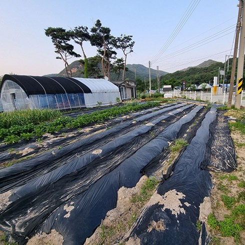 멀칭비닐 흑색비닐 텃밭 주말농장 0.02mm 롤 폭 90cm 100cm 120cm 길이 500m, 90cm x 500m, 1롤