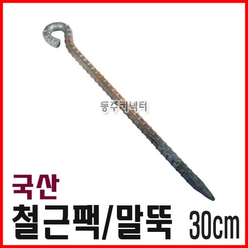 쇠말뚝 TOP01