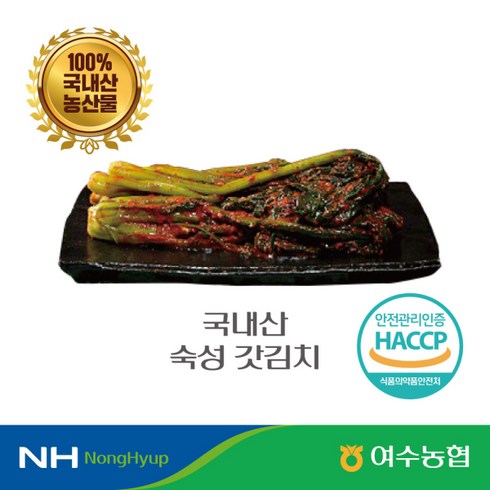 eTV 여수농협 숙성 묵은지 돌산 갓김치 3kg, 1개