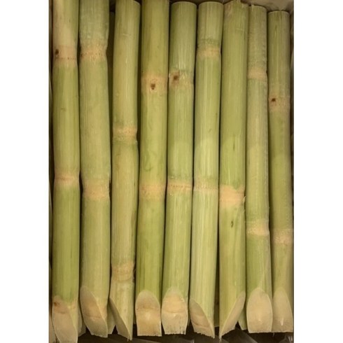 베트남산 껍질벗긴 사탕수수 스틱 FRESH SUGAR CANE 15kg, 4개