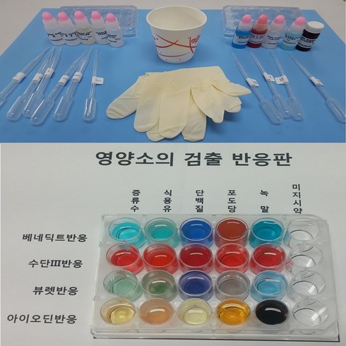 영양소검출실험 - 오피스안 영양소검출반응실험키트(2인1조 4인1조실험)지시약을통한영상소검출 3대영양소검출키트