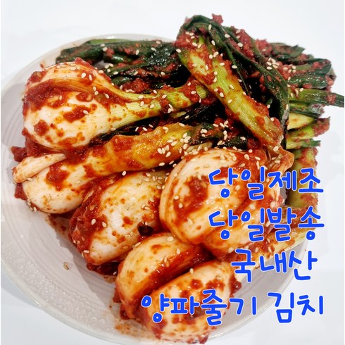 전라도의 맛 (엄니손맛) 제철 수제 양파줄기김치 1kg, 1개