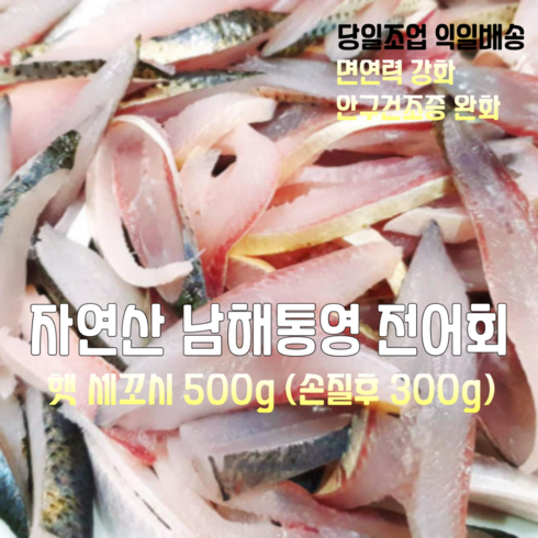 전어회 - [산지직송] 국내산 자연산 남해 통영 전어회 세꼬시 500g (손질후 300g), 1세트