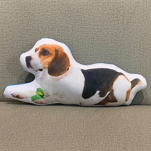 DIY 3d 포토쿠션 사진 애완동물 기념 인형제작 주문제작 반려동물 인형, 거의 모든 구도 가능 카카오톡으로 사진전송 必