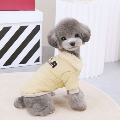 강아지패딩 TOP01