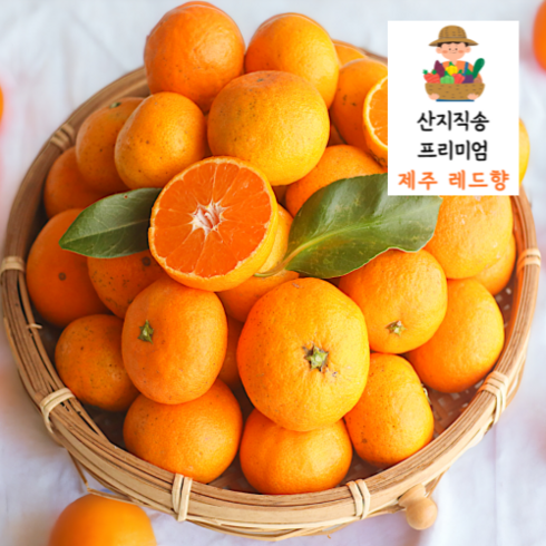 프리미엄 고당도 레드향 산지직송 가정용, 1개, 5KG