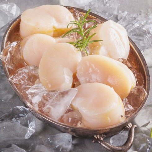 오씨네수산 장흥 키조개 생물 통관자, 생물 통관자 500g(3-4인분), 1개