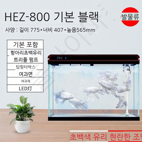 스마트어항 네온테트라 어항 코리도라스 골든볼라미네지 베타 키우기, (블랙)HE-800 위드필터링큰어항단독체