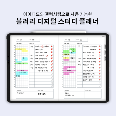 굿노트스터디플래너 - 굿노트 스터디 플래너 / 아이패드 갤럭시탭 / 무채색속지 PDF