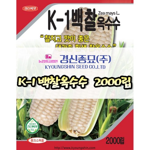 경신종묘 백찰옥수수 2000립 파종용 옥수수 씨앗 당일발송, 1개