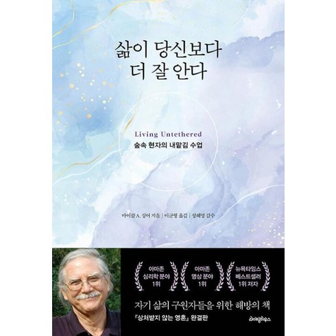 삶이당신보다더잘안다 - 삶이 당신보다 더 잘 안다 : 숲속 현자의 내맡김 수업 - 마이클 A. 싱어, 라이팅하우스