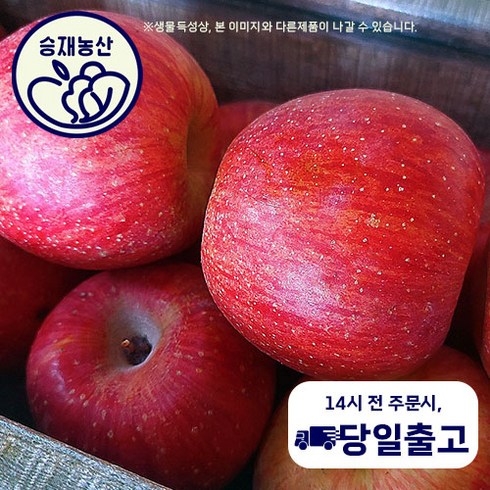 ( 승재농산 ) 경북 안동 청송 문경 꿀사과 상급품 11~13수(3kg 기준), 3kg, 1개