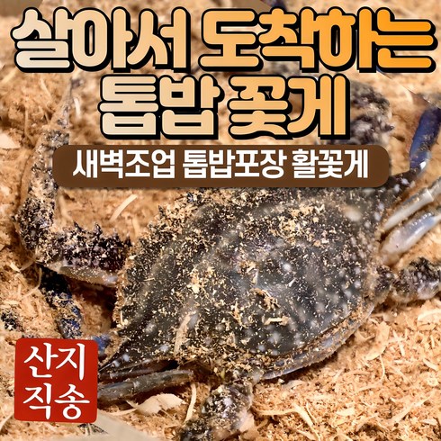 꽃개 - 24년 가을 숫꽃게 암꽃게 활 생물 톱밥 꽃게, 1박스, 3kg